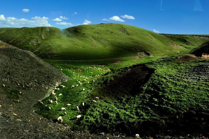 dsc_1951a.jpg