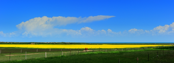 dsc_1800a.jpg