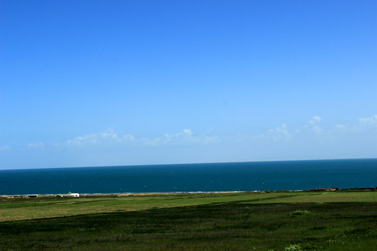 青海湖 252_副本.jpg