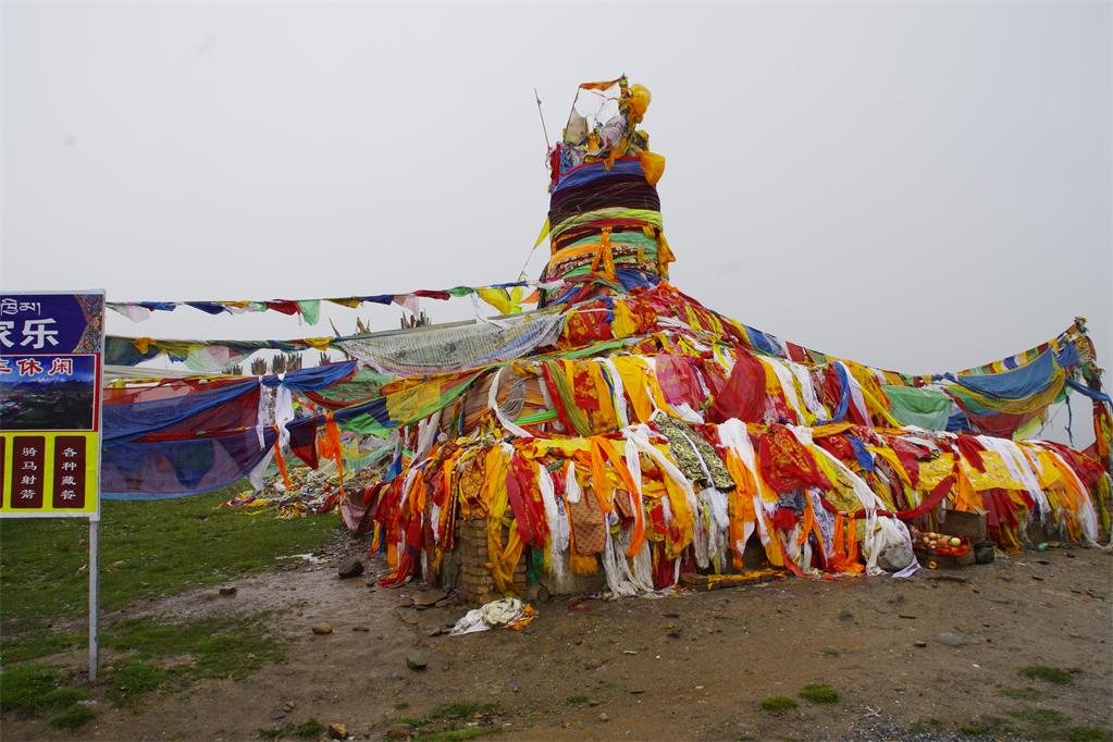 _igp1134.jpg
