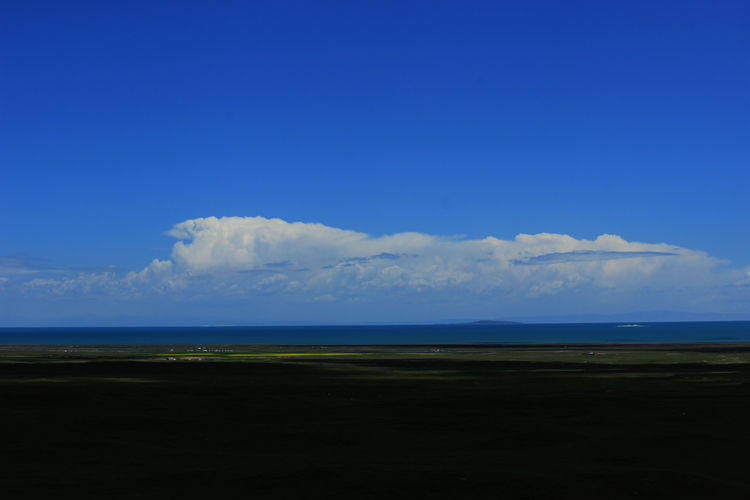 青海湖 318_副本.jpg