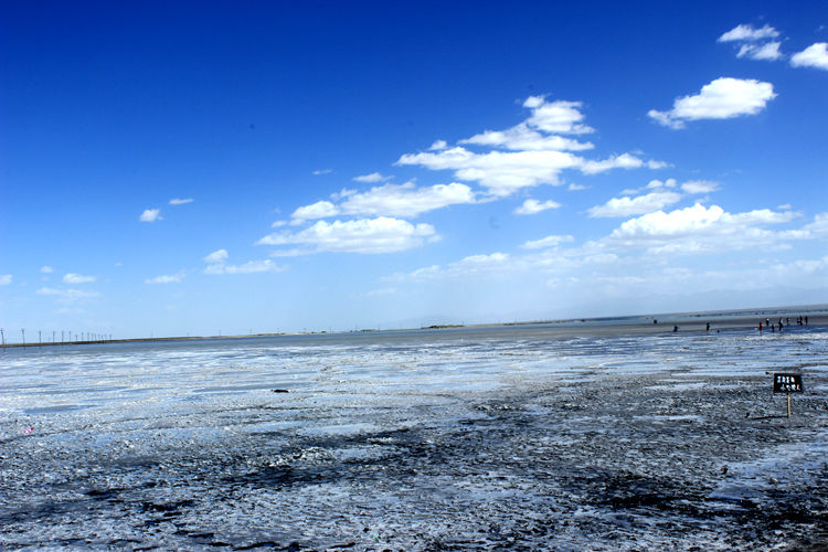 青海湖 385_副本.jpg