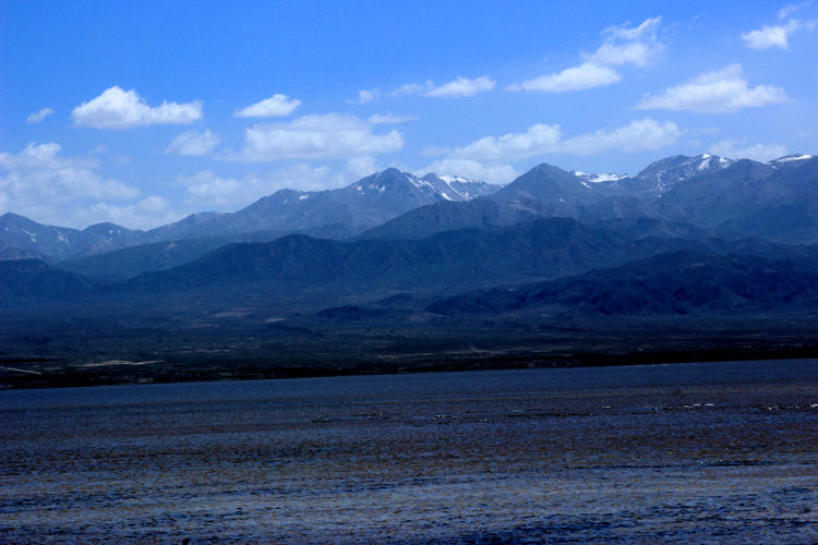 青海湖 375_副本.jpg