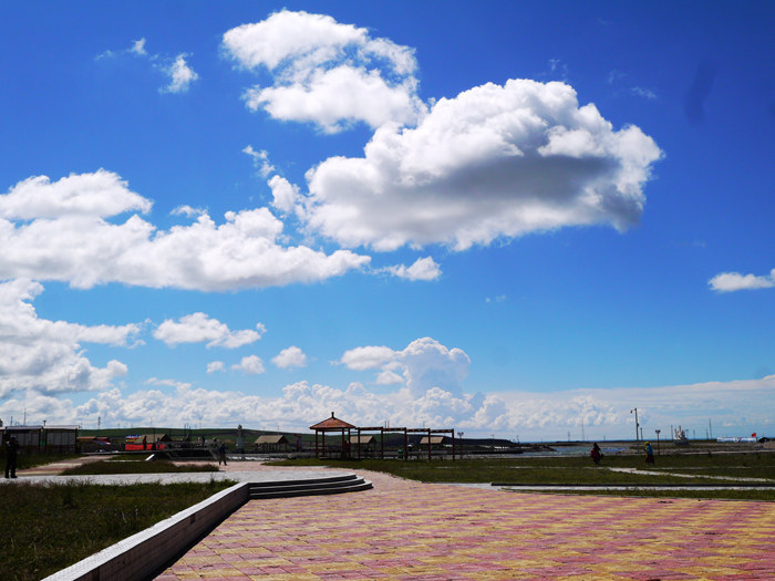 p1180399_.jpg