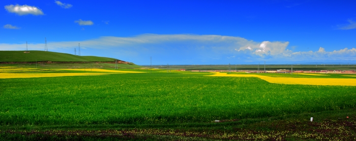 dsc_2202a.jpg