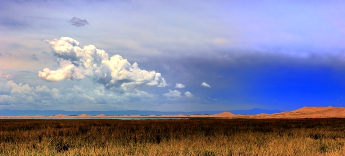 dsc_2215.anef.jpg