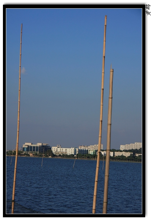 ѷ98.jpg