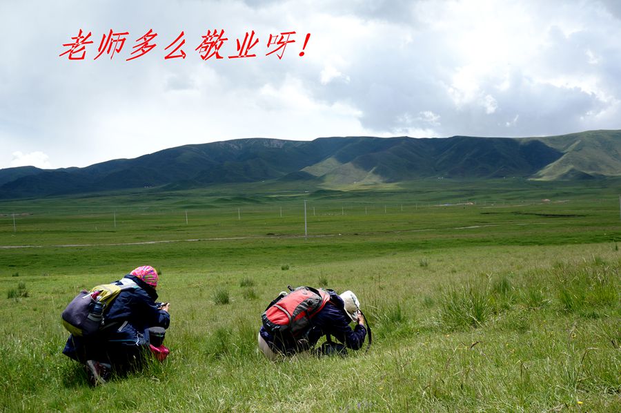 dsc03470_.jpg