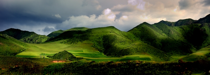dsc_2242a.jpg