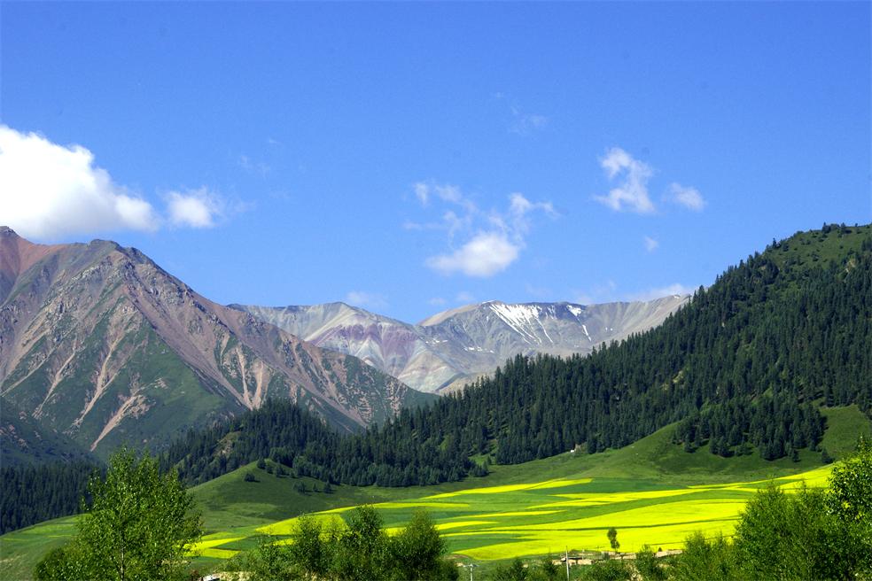 _igp1859_副本.jpg