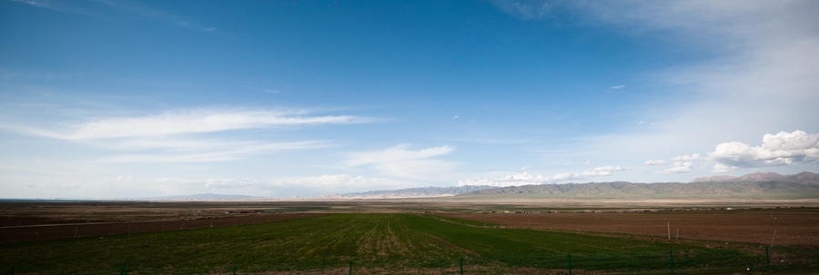 _dsc5415.jpg