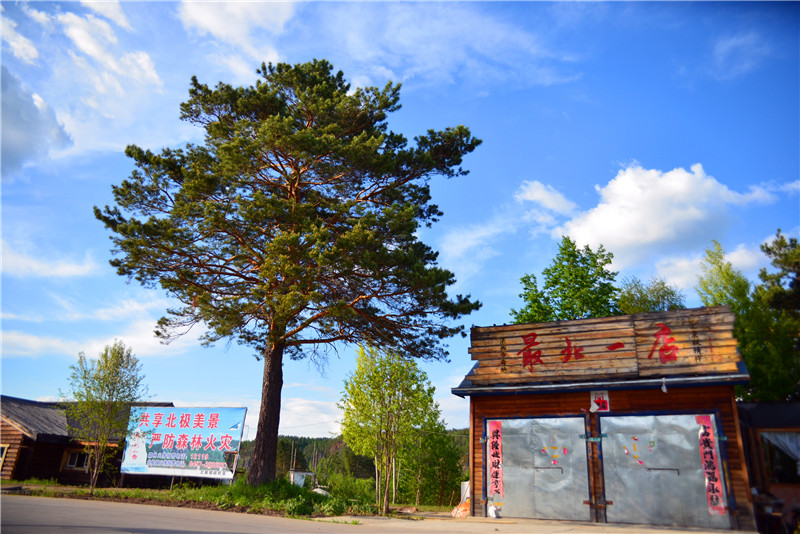 dsc_3097.jpg