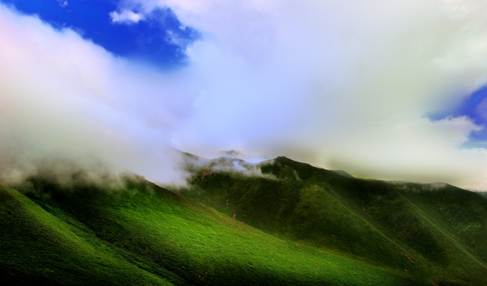 dsc_2270a.jpg