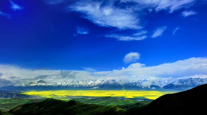 dsc_2335a.jpg