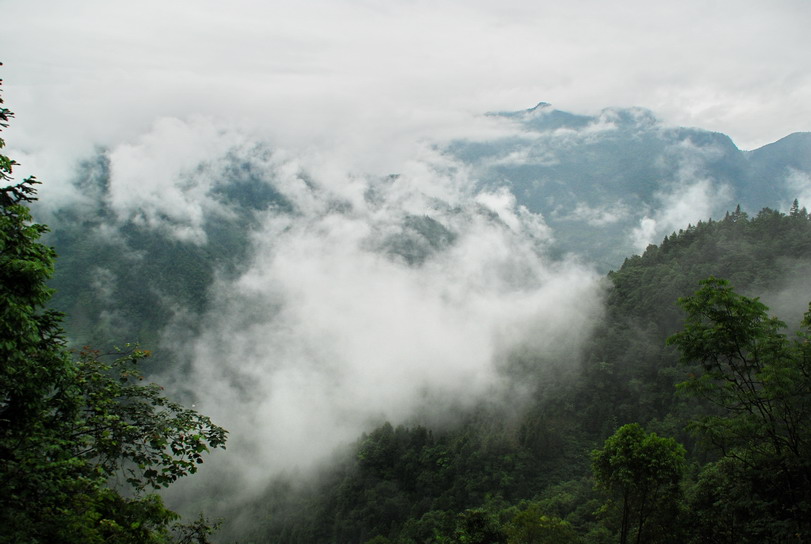 dsc_6560.jpg