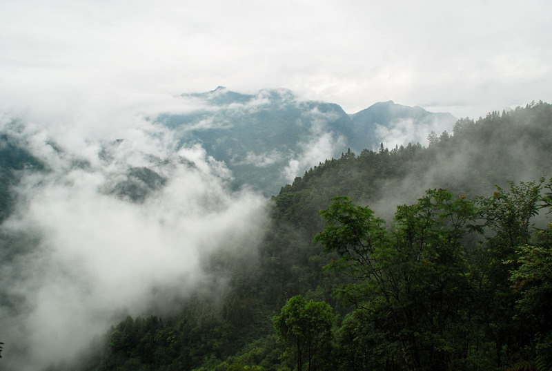 dsc_6561.jpg