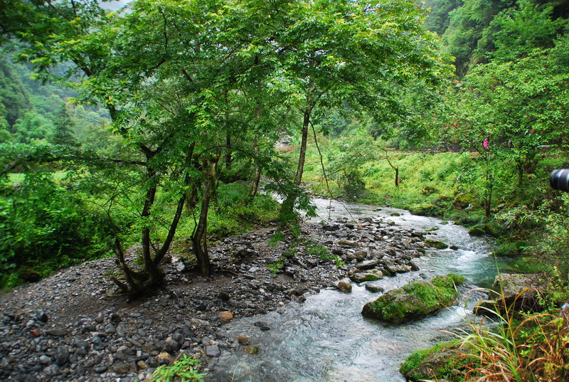 dsc_6578.jpg