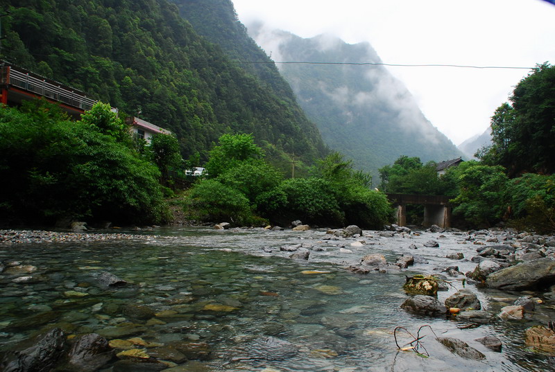 dsc_6593.jpg