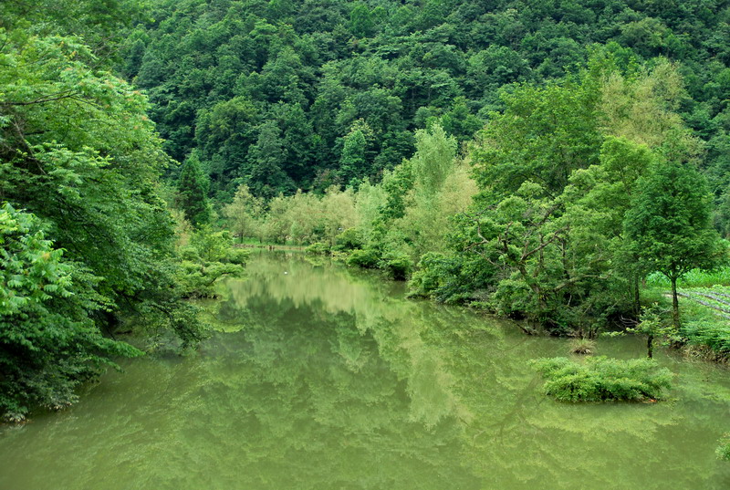 dsc_6785.jpg