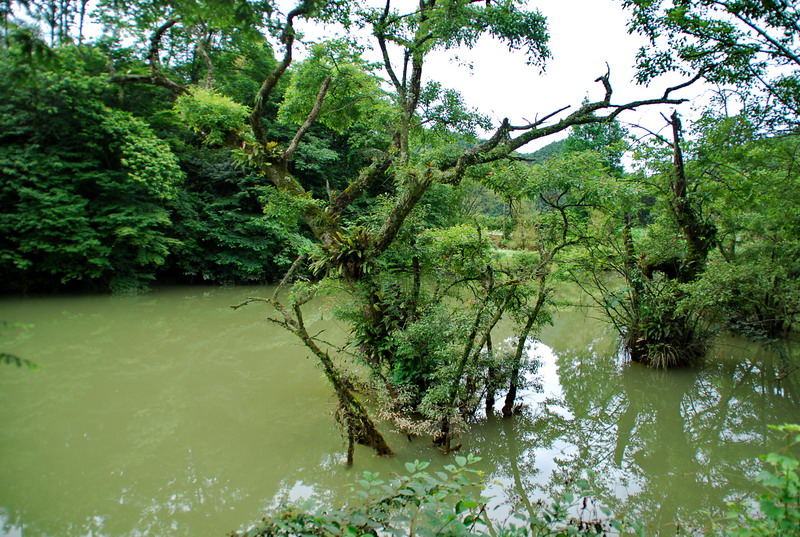 dsc_6790.jpg