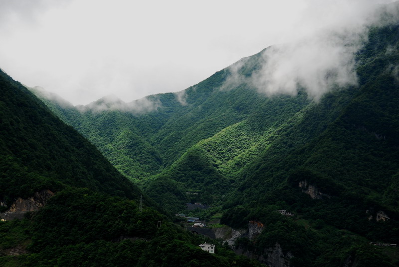 dsc_6879.jpg
