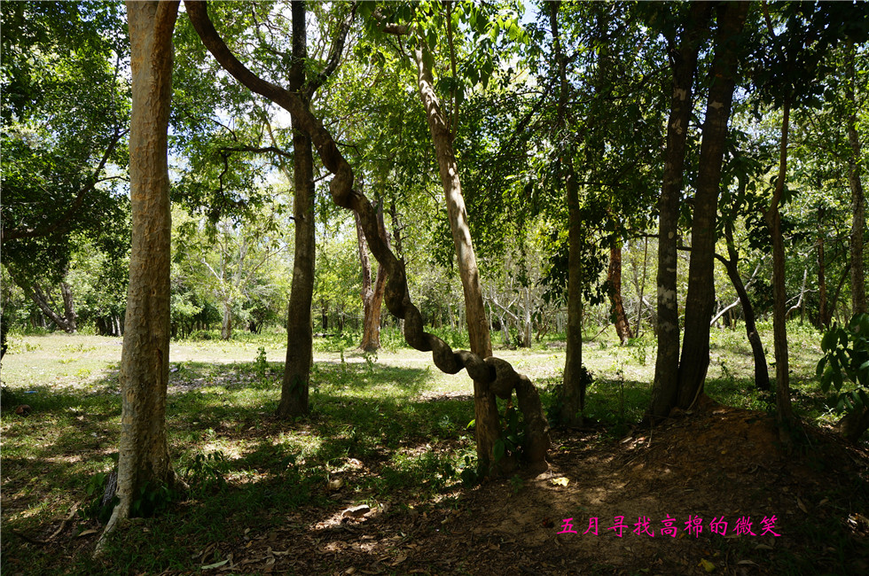 _dsc0077_.jpg