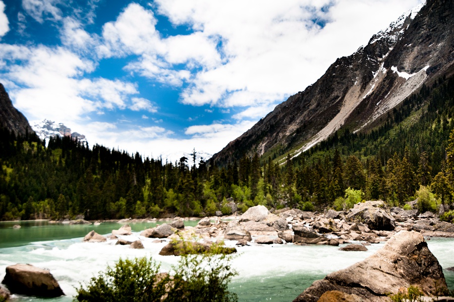 _dsc3735.jpg