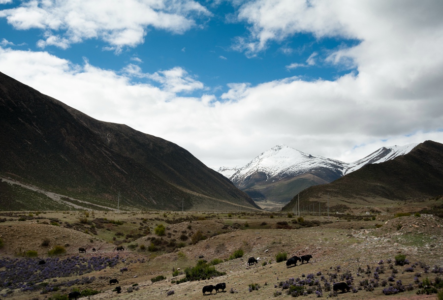 _dsc3561.jpg