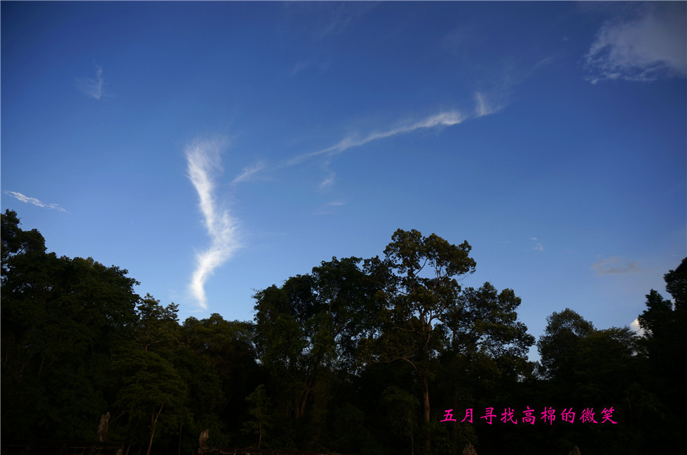 _dsc0152_.jpg