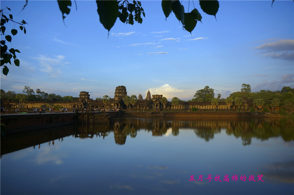 _dsc0177_.jpg