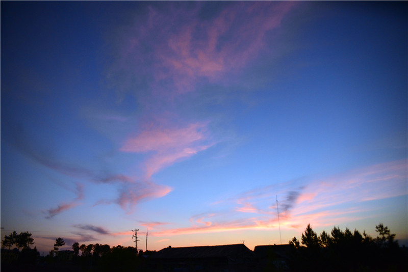 dsc_3123.jpg