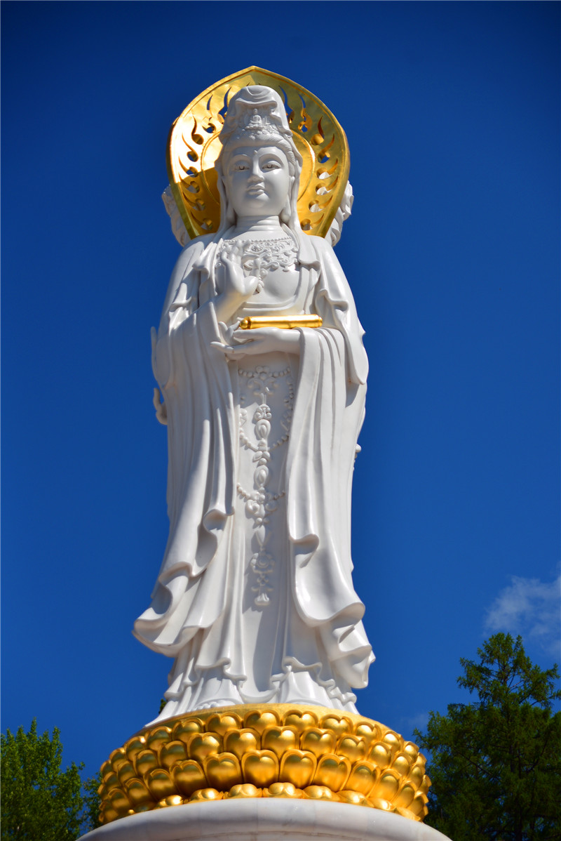 dsc_3145.jpg
