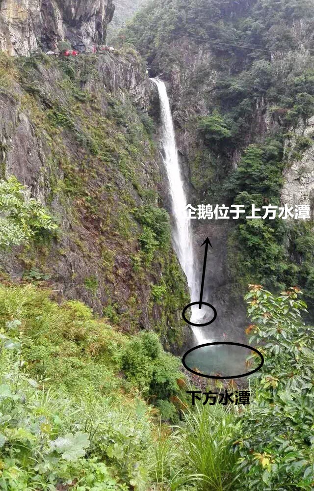 1436229667322670---4.jpg