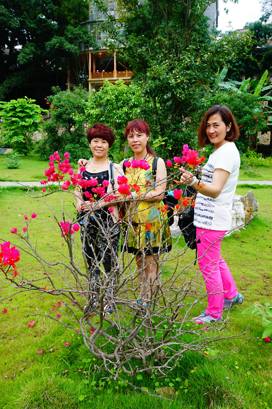 dsc08309 800.jpg