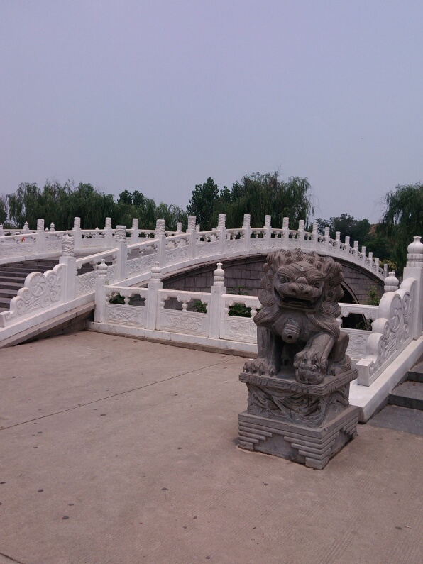 img_20150708_094016.jpg