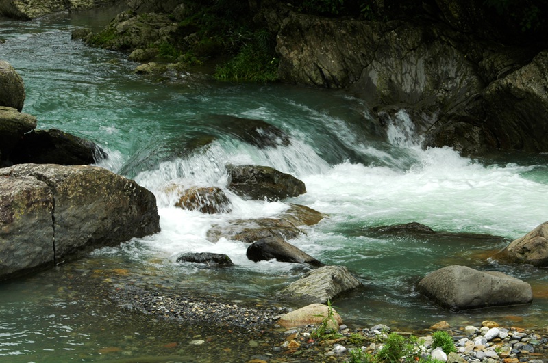 dsc_3740_.jpg