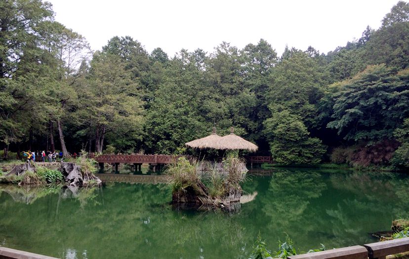 台湾行.jpg