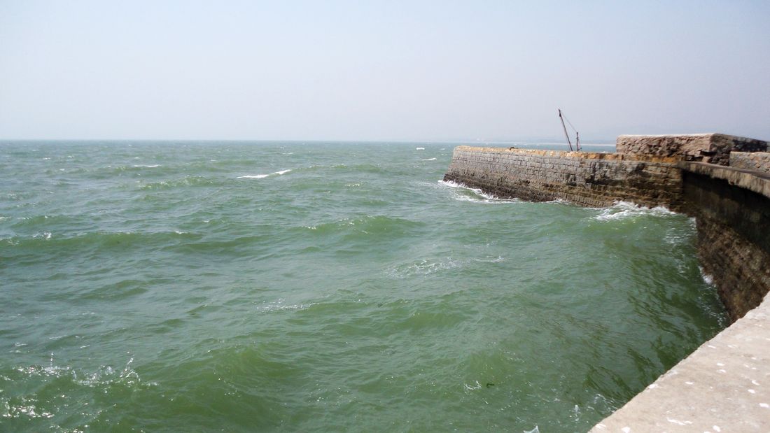 neo_img_dsc00873.jpg