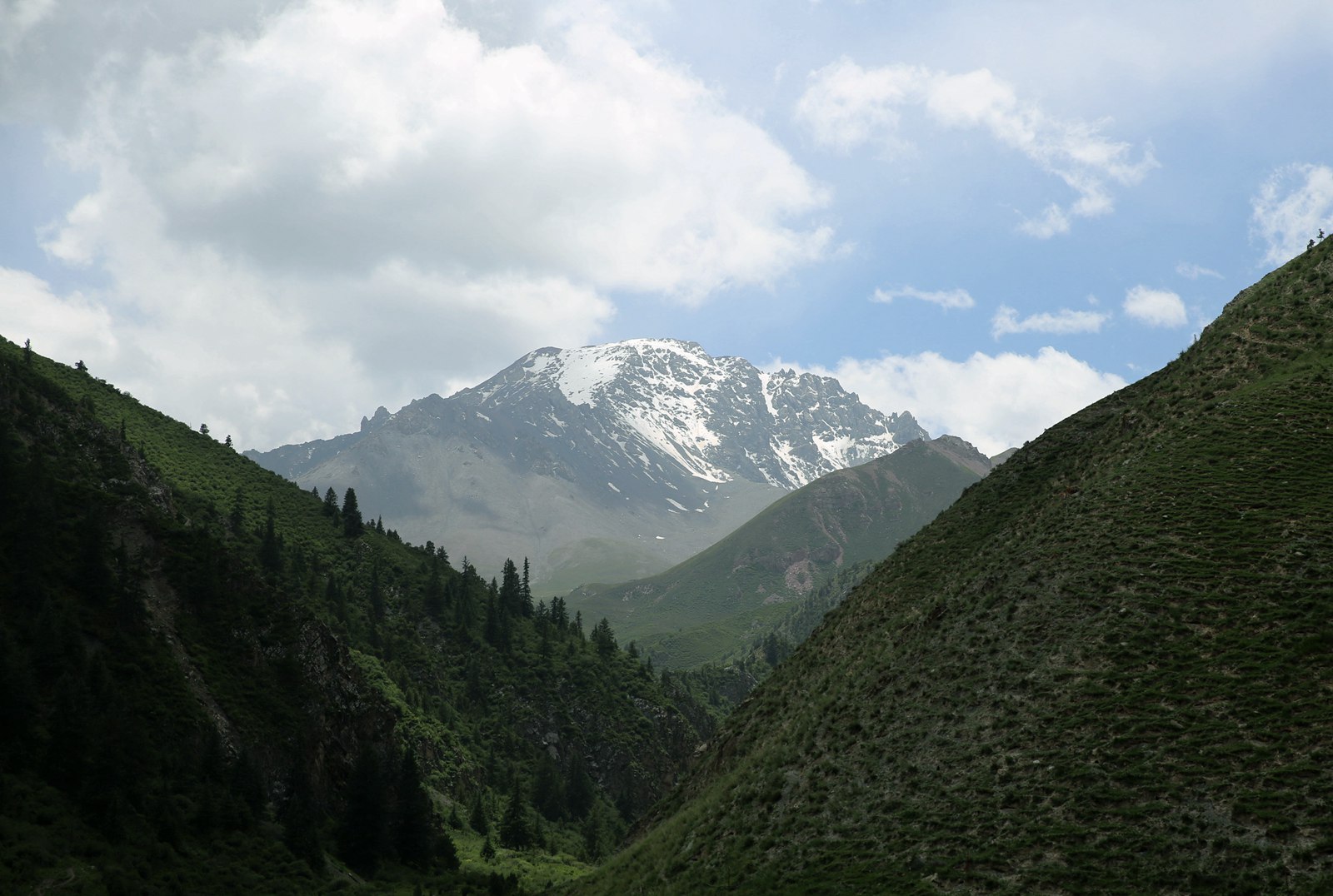 175.jpg