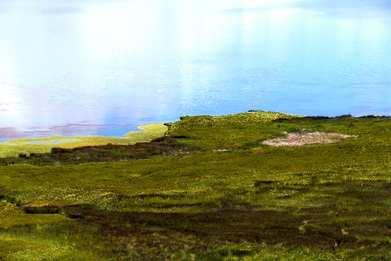 _sam4973_.jpg