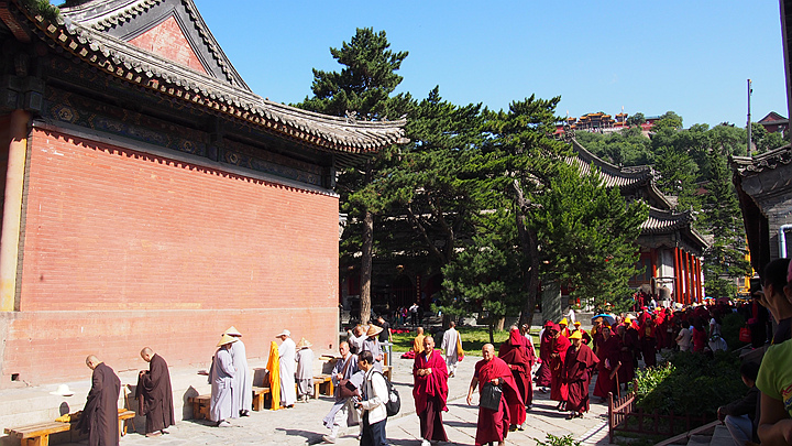 p1010743_副本.jpg