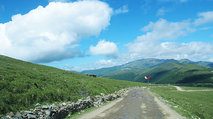 p1010045_副本.jpg