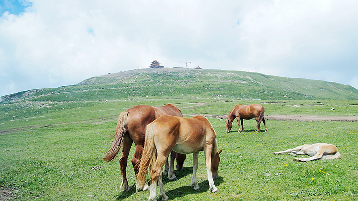 p1010212.jpg