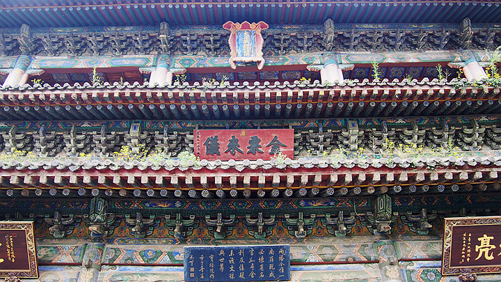 p1010459_.jpg