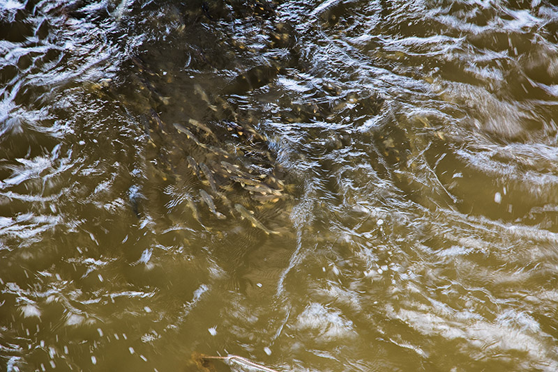 dsc_5964副本.jpg