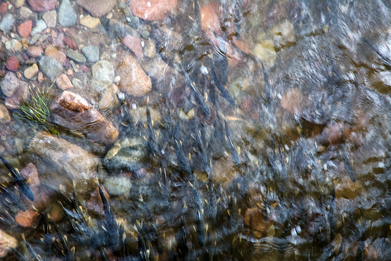 dsc_5969副本.jpg
