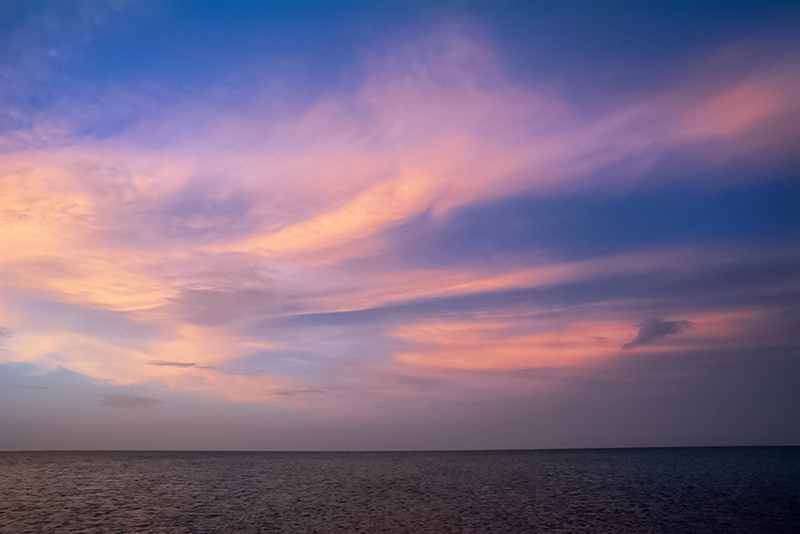 dsc_6406.jpg