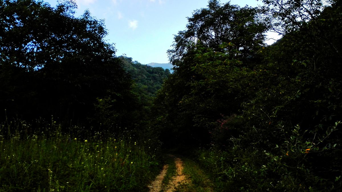img_20150815_185033.jpg