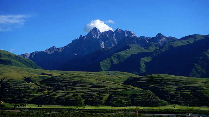 dsc00260_.jpg