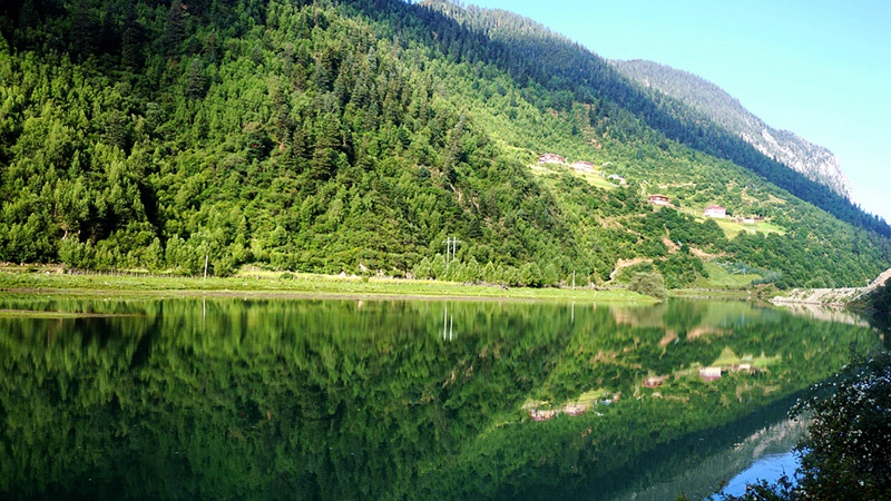 dsc00394_.jpg